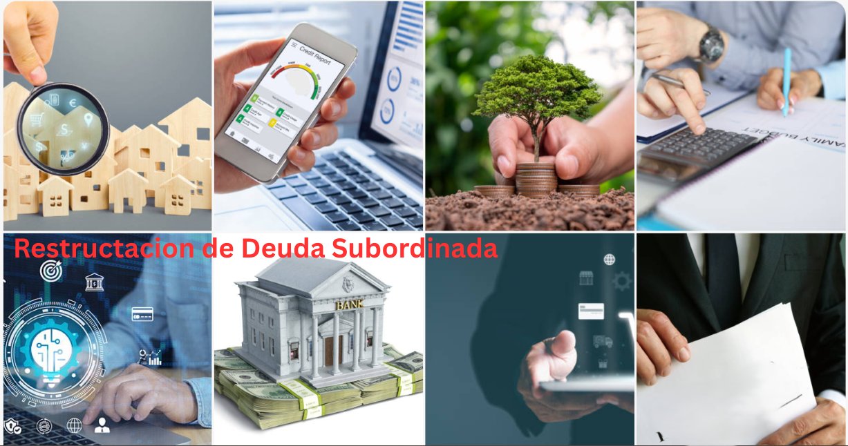 📊 Deuda Subordinada